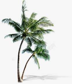 阳光沙滩椰子树沙滩海边高清图片