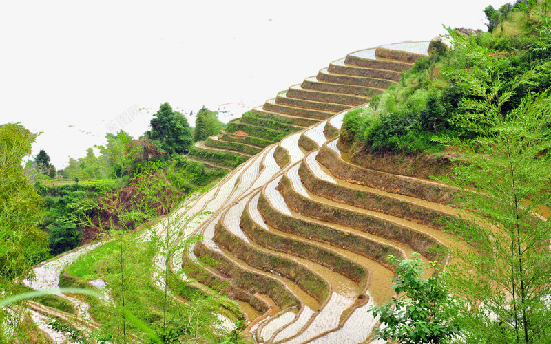 广西龙脊梯田六png免抠素材_88icon https://88icon.com 名胜古迹 旅游风景 著名建筑