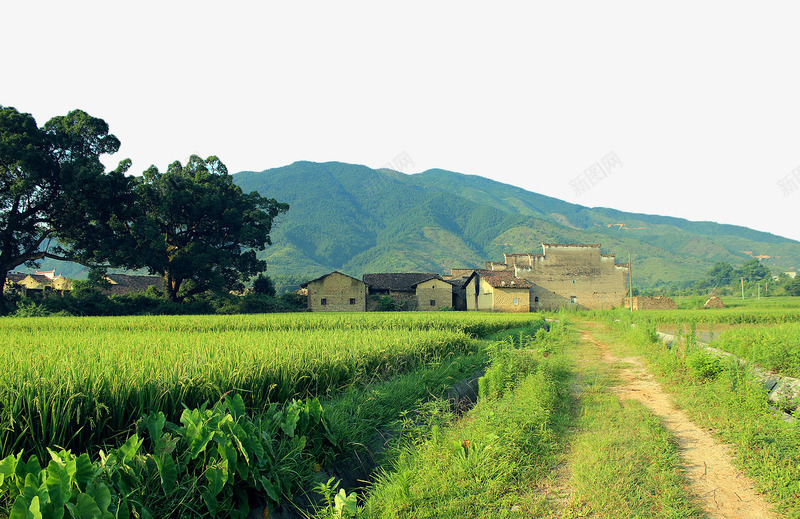 山脚下的村庄png免抠素材_88icon https://88icon.com 乡村 乡村小屋 农庄 农村 农村小屋 小径 房子 稻田 树 绿色 美丽乡村 草地