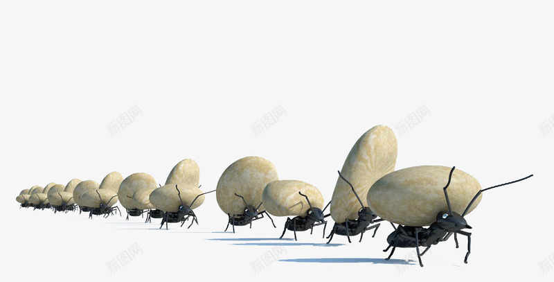 一列搬石头的蚂蚁png免抠素材_88icon https://88icon.com 免费素材 励志蚂蚁 堆石块 搬家 石头 石头素材库 蚂蚁 蝼蚁