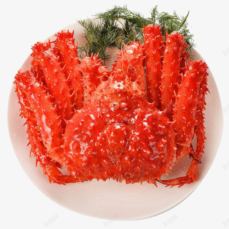 美食生鲜蟹png免抠素材_88icon https://88icon.com 产品实物 海鲜 盘子 红色 美味 螃蟹 蟹子 蟹肉 诱人 餐饮美食