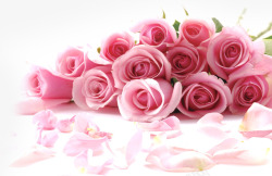 戒指与玫瑰瓣粉色玫瑰花瓣花束高清图片