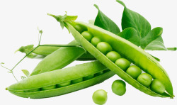 绿色食品表示豆角里的豌豆高清图片