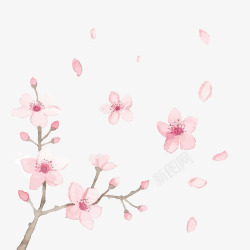 樱花树枝手绘精美手绘粉色桃花高清图片