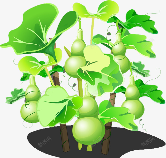 葫芦png免抠素材_88icon https://88icon.com 植被 瓜藤上的葫芦 绿叶 绿色瓜藤 葫芦 装饰 风景