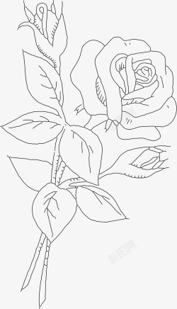 一支玫瑰花线稿矢量图素材