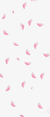 纷飞花瓣落下的粉色花瓣高清图片