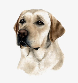 卡通手机图标矢拉布拉多宠物犬图标高清图片