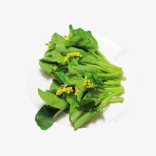 一盘子新鲜绿色安全开花菜心摄影png免抠素材_88icon https://88icon.com 一盘子新鲜绿色安全开花菜心摄影插图免抠免费下载 健康 广东菜心 油菜 盘子 美味 菜心 菜花 菜苔 食材 饮食