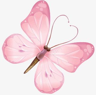 绚丽蝴蝶矢量图ai免抠素材_88icon https://88icon.com 个性 创意 动物 潮流 蝴蝶 装饰 矢量图