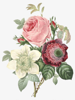 手绘的老式电话老式手绘鲜花花卉18高清图片