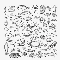 手绘海鲜食材素材