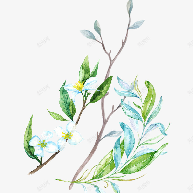 清新水彩花朵叶子psd免抠素材_88icon https://88icon.com 叶子 唯美 复古 小清新 彩绘 手绘 手绘植物 植物 水墨 水彩 水彩画 清新 花朵 花草