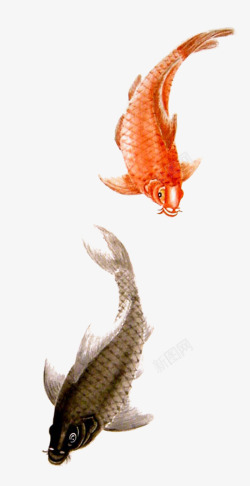 红鲤鱼水墨红鲤鱼中国风高清图片