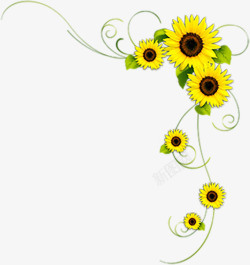 水彩手绘黄色的向日葵教师节快乐素材