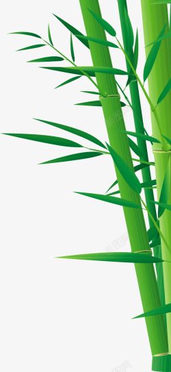 绿色竹子竹叶端午节素材