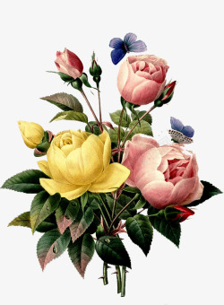 粉色花卉复古唯美手绘玫瑰花高清图片