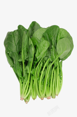原生态健康绿色食品菠菜特写高清图片