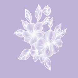 单色复杂花纹图案彩印花边A119高清图片