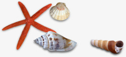 海边沙滩贝壳卡通海螺效果素材