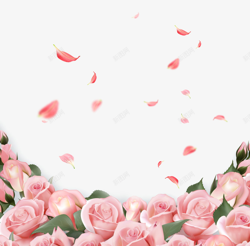 粉色玫瑰花png免抠素材_88icon https://88icon.com 叶子 延缓衰老 植物 玫瑰丛 玫瑰花 粉色花朵 背景装饰 花瓣