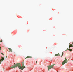 肉粉色叶子粉色玫瑰花高清图片