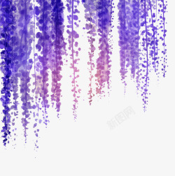 细的紫藤花构成的帘高清图片