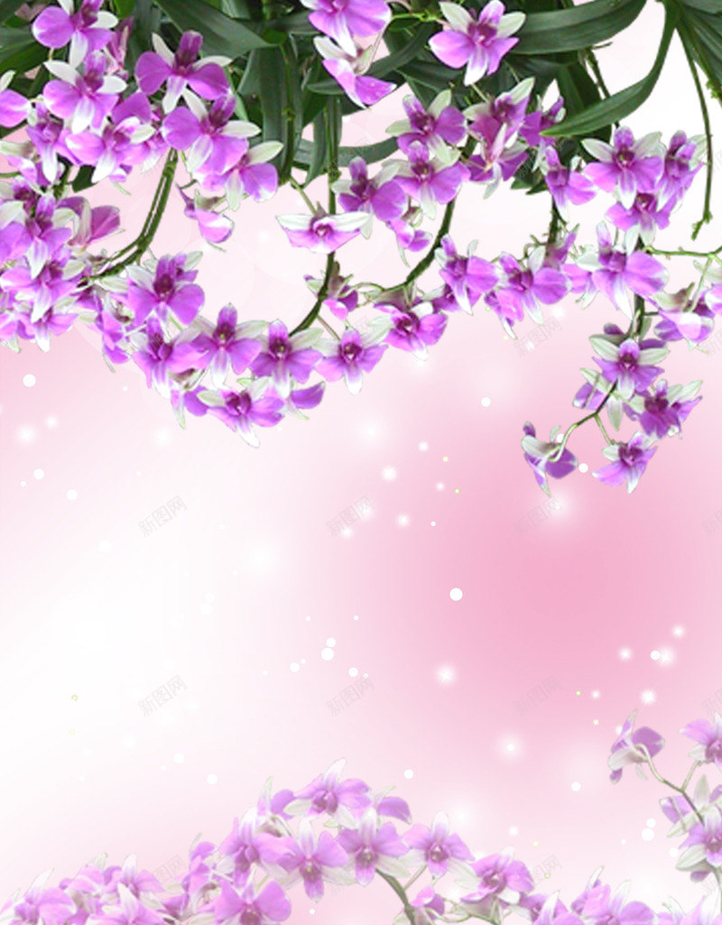 店铺首页背景png免抠素材_88icon https://88icon.com 天猫 店铺首页背景 淘宝 首页模板 首页背景 首页背景装修