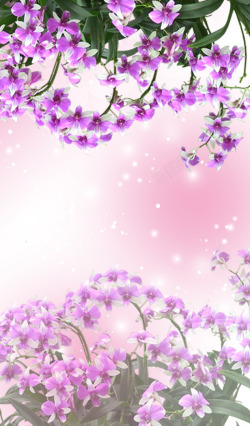 店铺首页背景素材