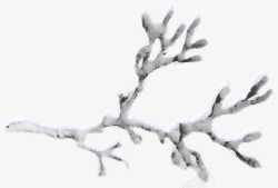 冰雪覆盖树枝素材