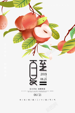 夏至水蜜桃成熟季节素材
