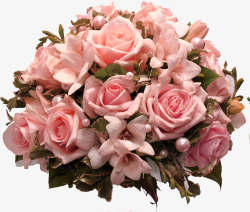 粉色鲜花玫瑰花球素材