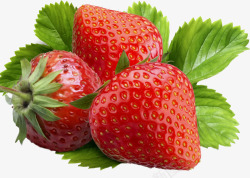 鲜红辣椒草莓鲜草莓草莓绿叶草莓高清图片