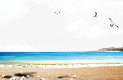 翱翔的海鸥蔚蓝大海边的美丽景色高清图片