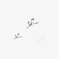 飞翔的鸟素材