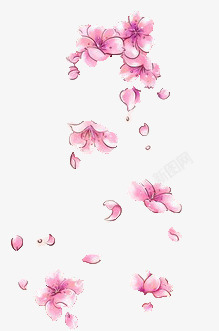 粉红色花瓣飘落的花朵素材