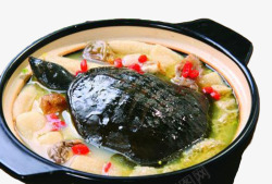 野生甲鱼美味野生甲鱼料理高清图片