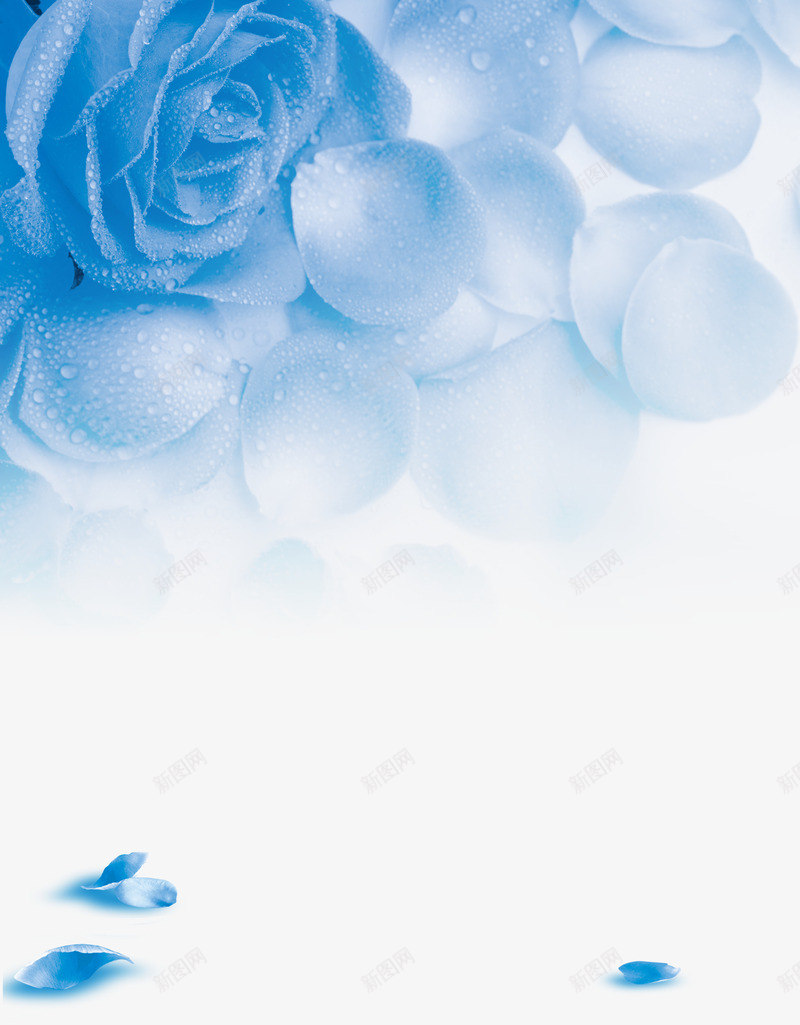 蓝色玫瑰背景图案png免抠素材_88icon https://88icon.com 玫瑰 蓝色 装饰