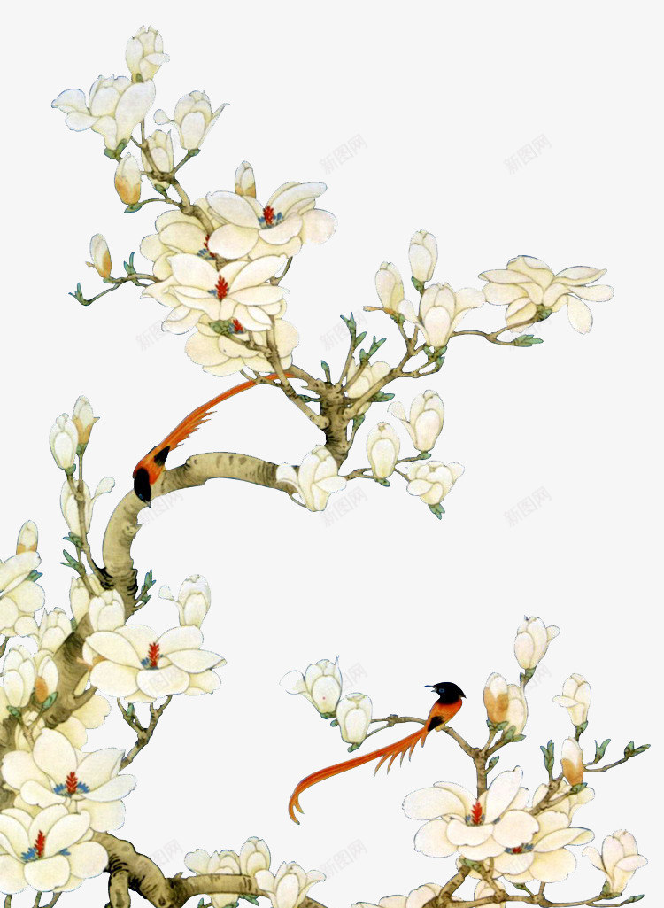 中国风白色花鸟装饰png免抠素材_88icon https://88icon.com 中国风 古风 手绘 白色 花 装饰 鸟