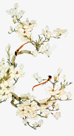中国风花儿与鸟中国风白色花鸟装饰高清图片