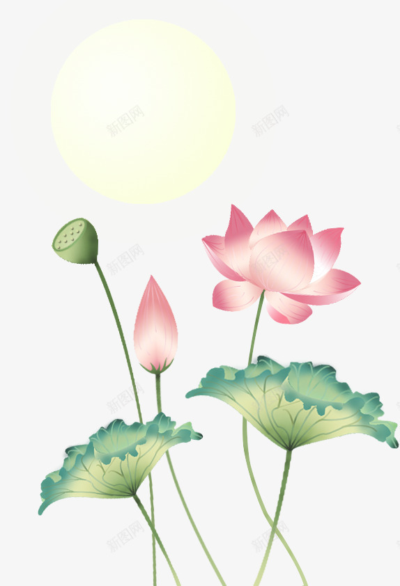 满月花卉背景png免抠素材_88icon https://88icon.com 月亮 荷花 莲花 莲蓬