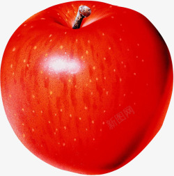 红色小苹果红色迷你小苹果高清图片