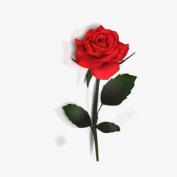 七夕节玫瑰玫瑰花矢量图高清图片