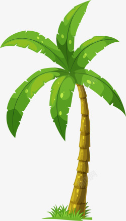 手绘椰子嫩绿的椰子树高清图片