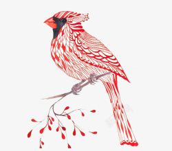 水彩动物鸟类手绘插画素材