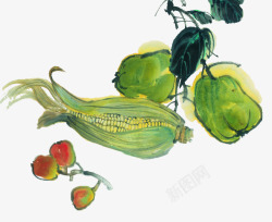 静物画佛手瓜玉米和樱桃静物画高清图片