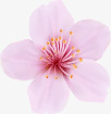 十里桃花海报粉色桃花花瓣海报背景高清图片