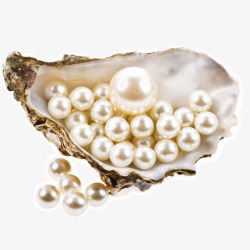 蚌贝壳里的珍珠高清图片