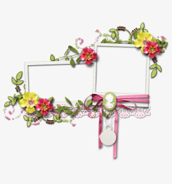 蕾丝花卉蕾丝花朵边框高清图片