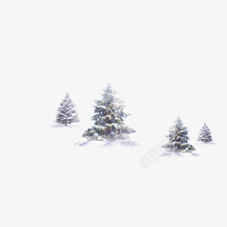 被雪覆盖的植被冬季里的树高清图片